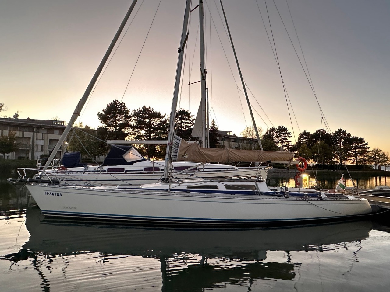 Jackpot, sail number HUN 32, sailing past swans on Lake Balaton